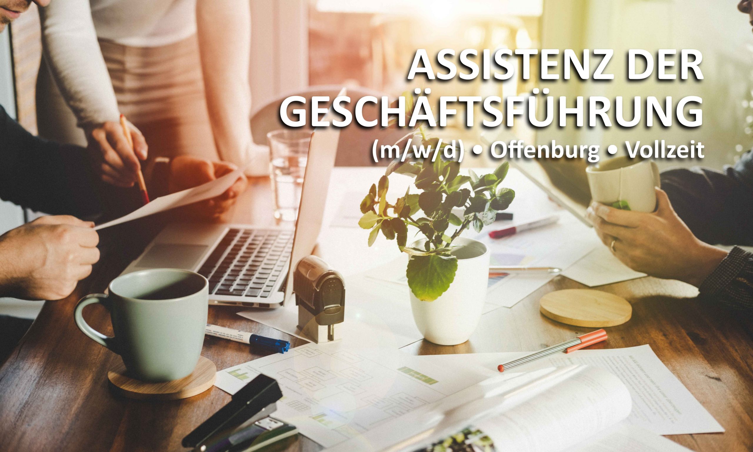 Pensum-Karriere-Temp-Assistenz-OG